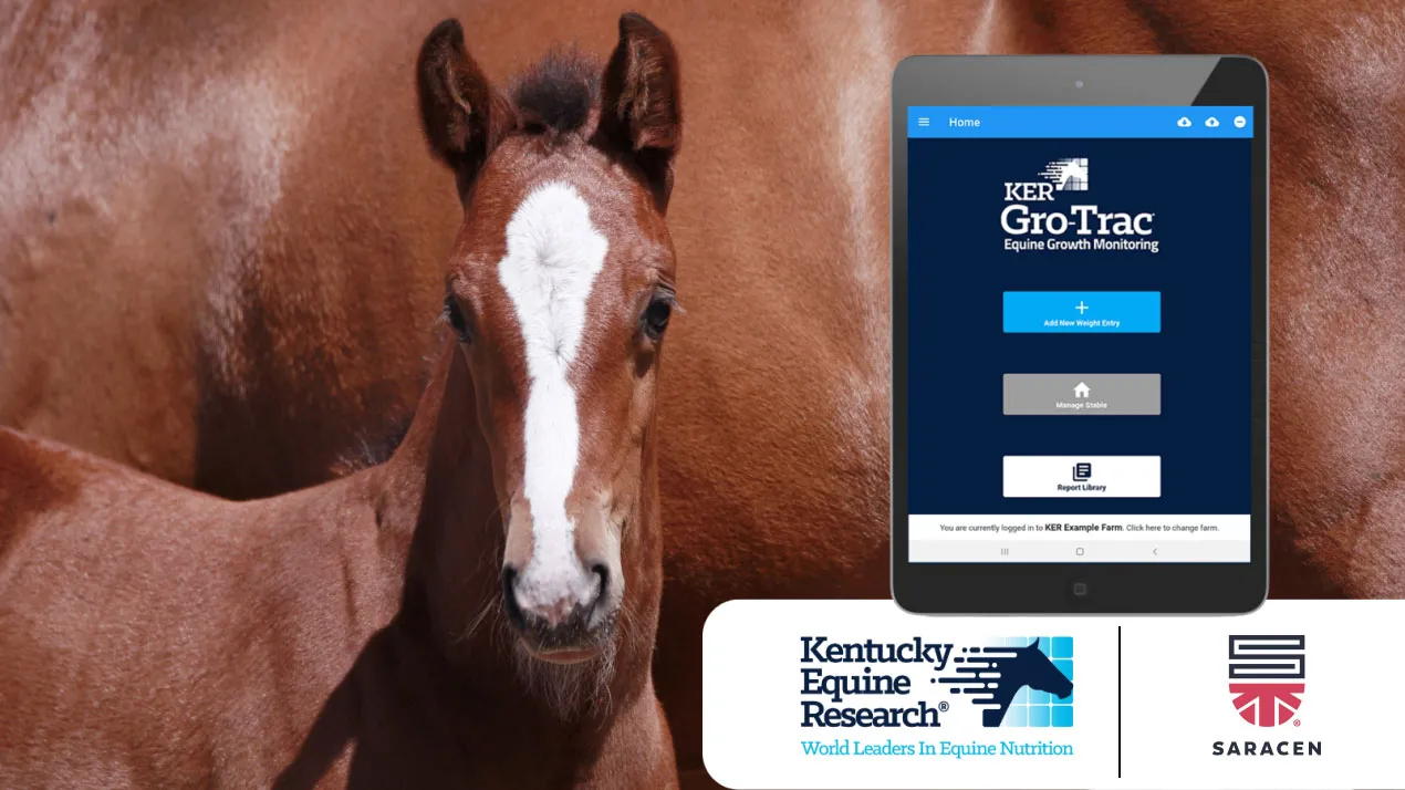 Close-up of a foal with a distinct white stripe on its face next to a tablet displaying the KER Gro-Trac equine growth monitoring app, with Kentucky Equine Research and Saracen logos below.
