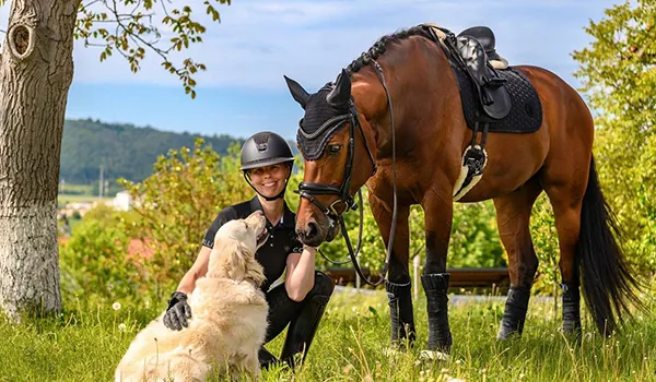 Saracen Horse Feeds – Our Distributor in the Czeck Republic