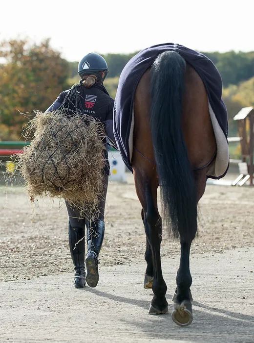 Forage Analysis by Saracen Horse Feeds