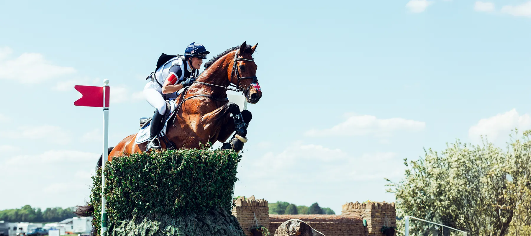 About Us - Saracen Horse Feeds