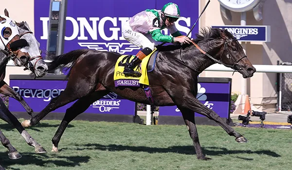 A win – Saracen Thoroughbred Racing Success