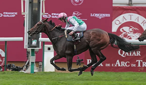 Saracen Thoroughbred Racing Success