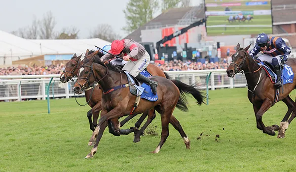 Winning Strategies with Saracen Thoroughbred Racing