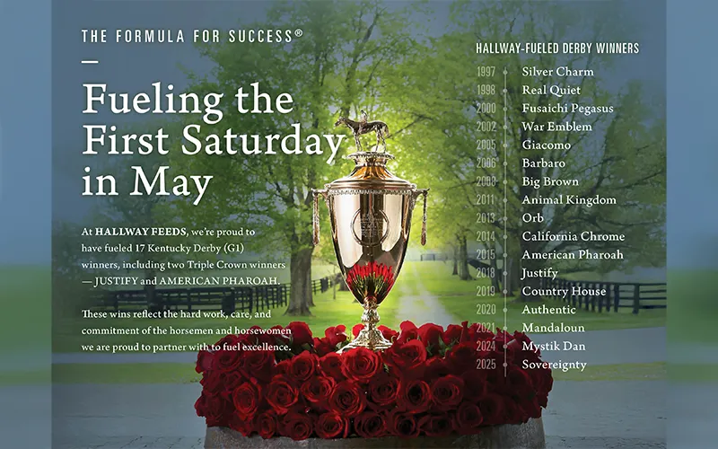 Hallway Feeds – Saracen Thoroughbred Breeding Success