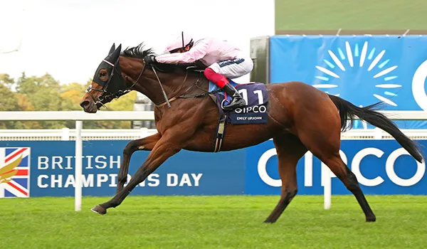 Saracen Thoroughbred Breeding Success at British Champions Day event.