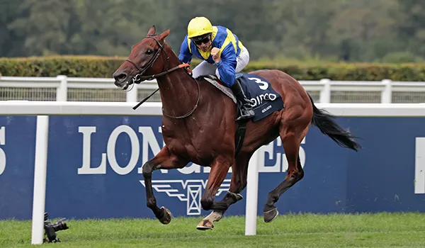 A Win – Saracen Thoroughbred Breeding Success