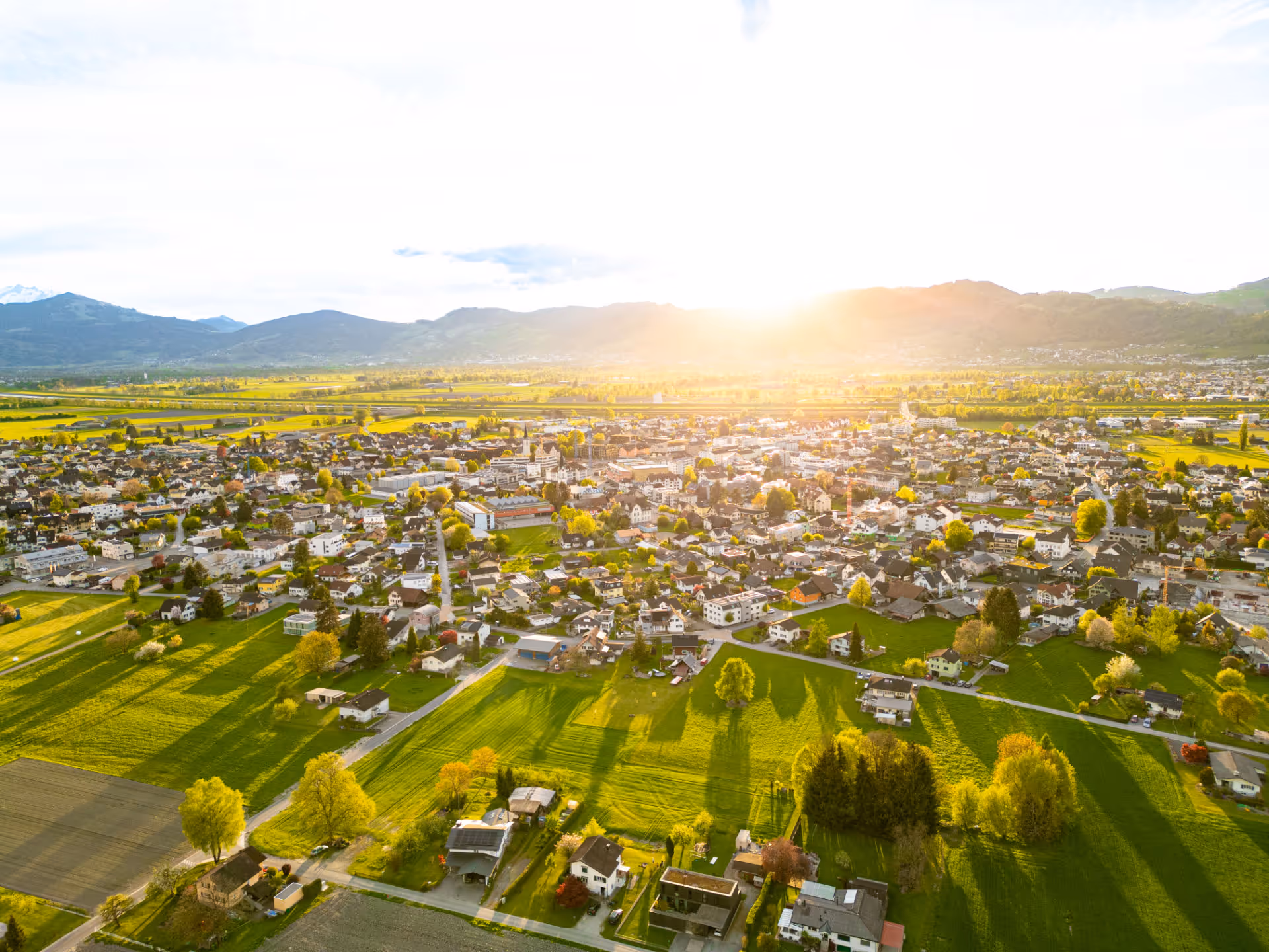 Luftaufnahme einer sonnigen, grünen Siedlung mit Bergen im Hintergrund bei strahlendem Sonnenschein. Die Siedlung ist Diepoldsau im Rheintal.