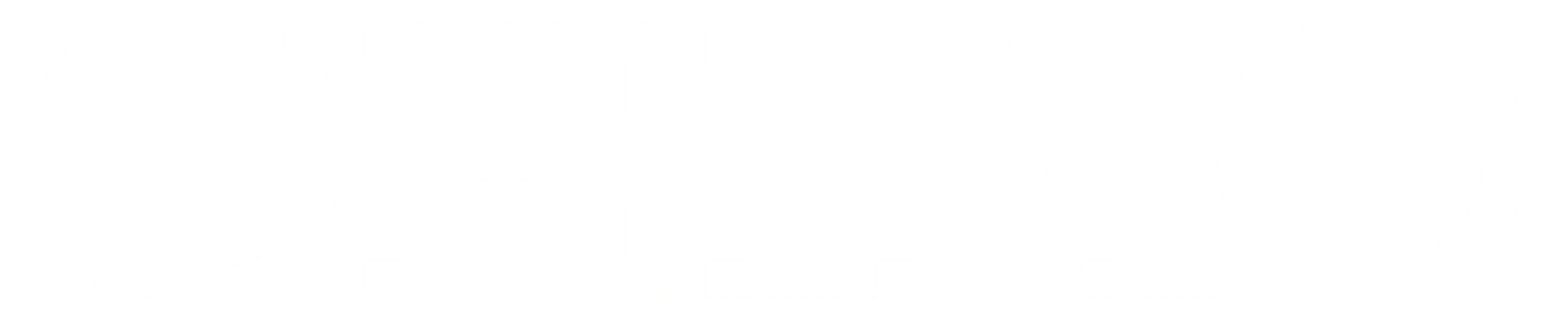 Logo for SEIKO which is their name in all capital letters
