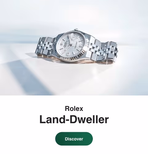 The Rolex Land-Dweller features a refined case design with a clean, contemporary dial and a matching bracelet beneath a domed sapphire crystal. The watch appears on the left side of the image against a bright, minimalist background with a subtle shadow, highlighting its modern lines and understated elegance. Jack Lewis Jewelers, located at 3011 Galena Rd, Bloomington, Illinois, is proud to be part of the worldwide network of Official Rolex Jewelers.