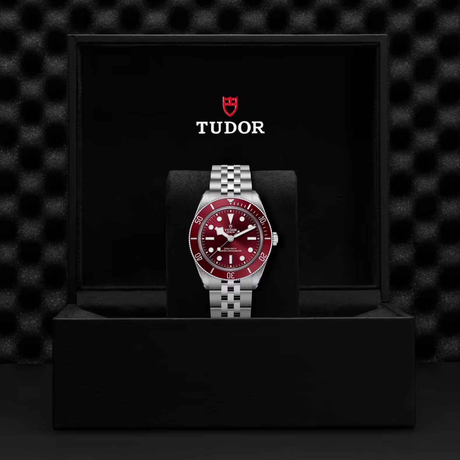 TUDOR Black Bay 58 with Burgundy Dial and 5 Link Steel Bracelet. Model M7939A1A0RU-0001. Jack Lewis Jewelers in Bloomington, Illinois.