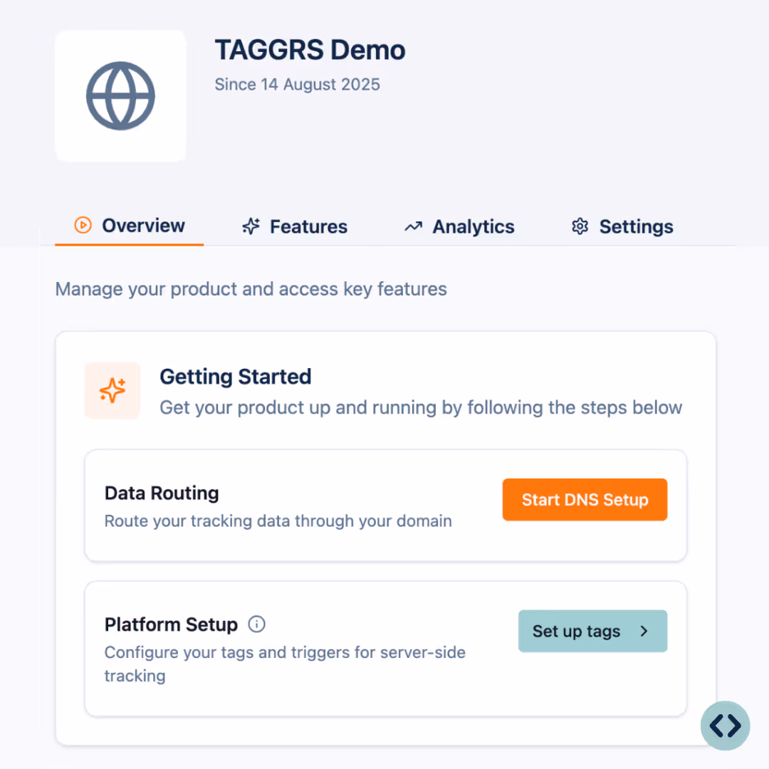 TAGGRS dashboard where you can set up your DNS to route your tracking data through your domain