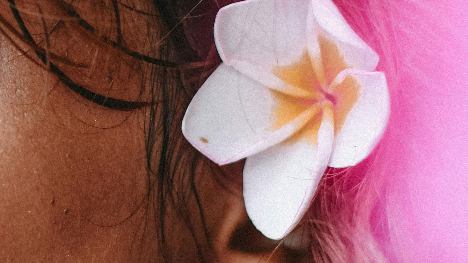 Flower in woman's hair.