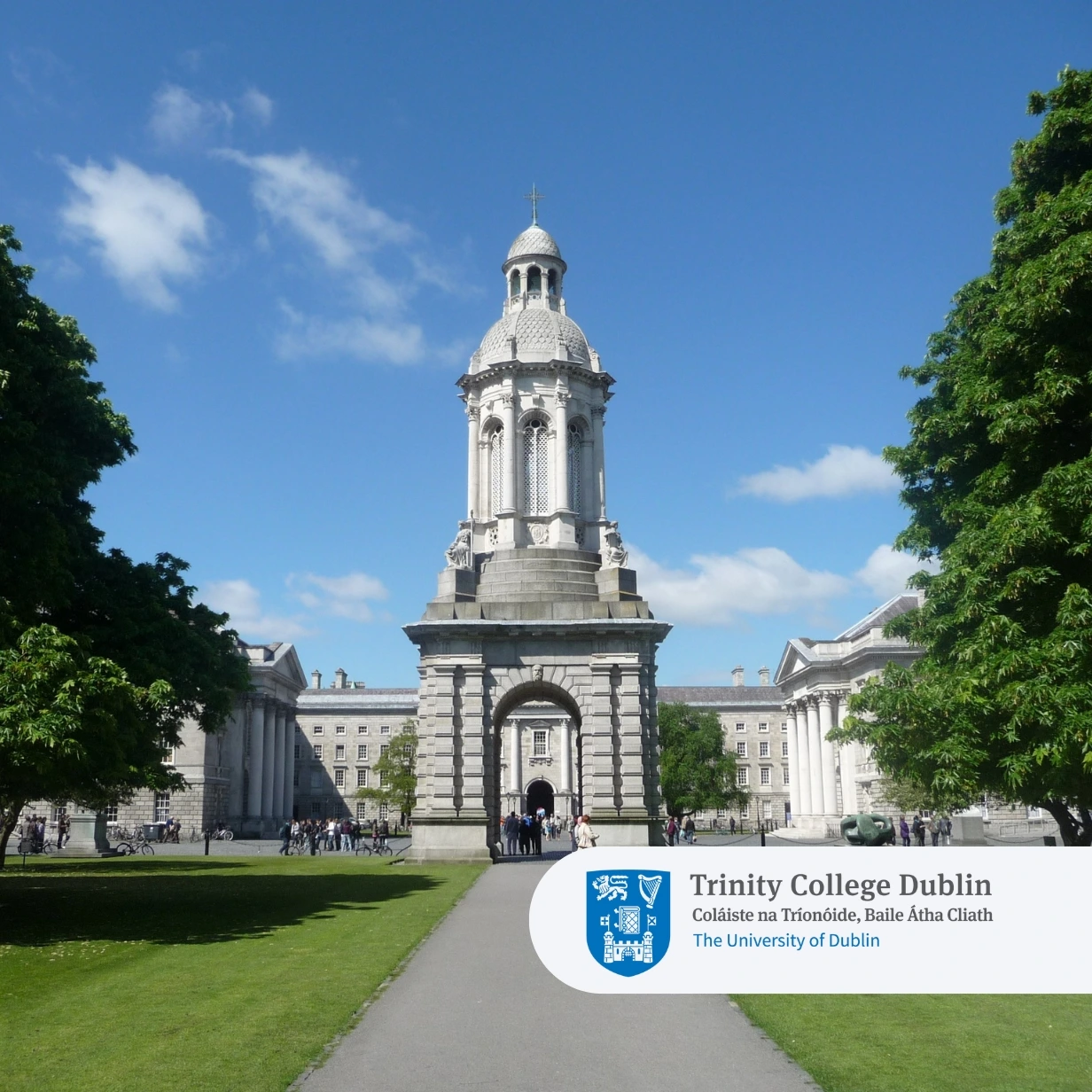 Desiner template image