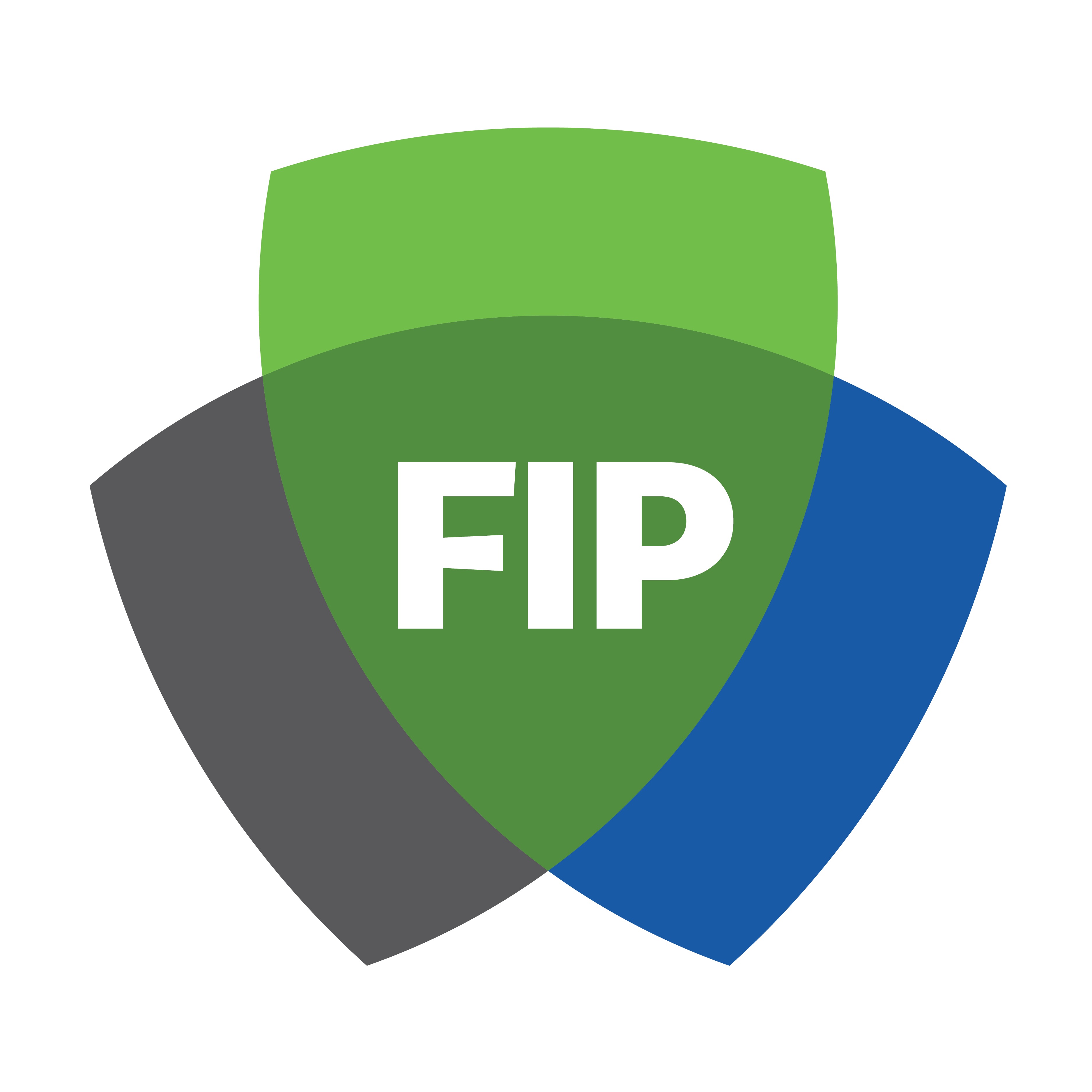 FIP badge for cybersecurity