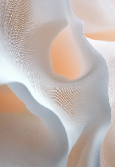 Process V1 Image