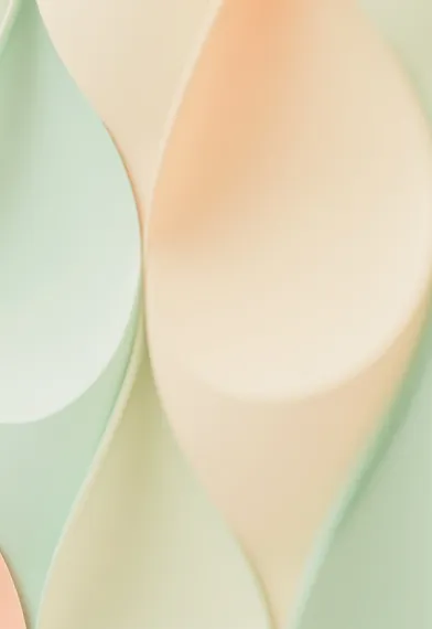 Process V1 Image