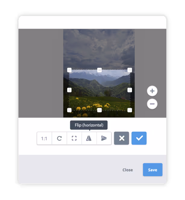spiegelen image editor