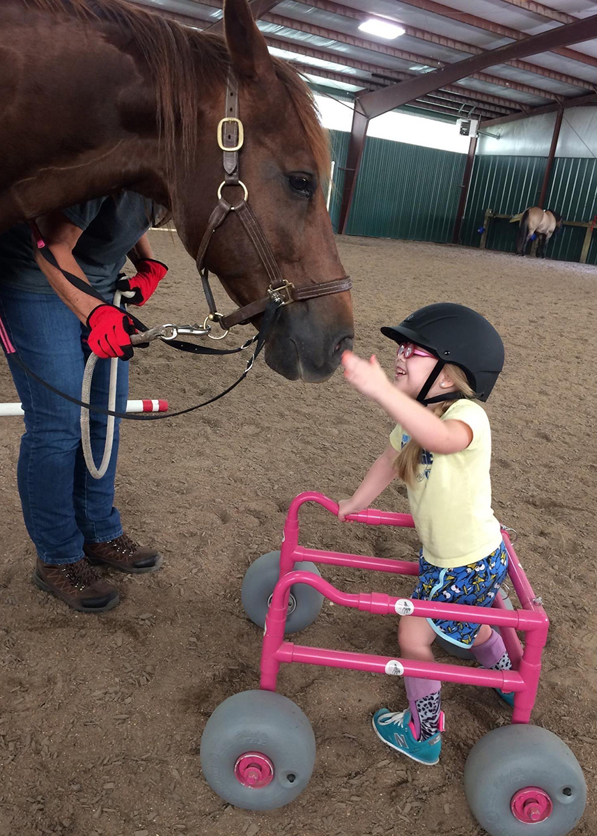 Little girl reaches to pet a therapy horse's nose.