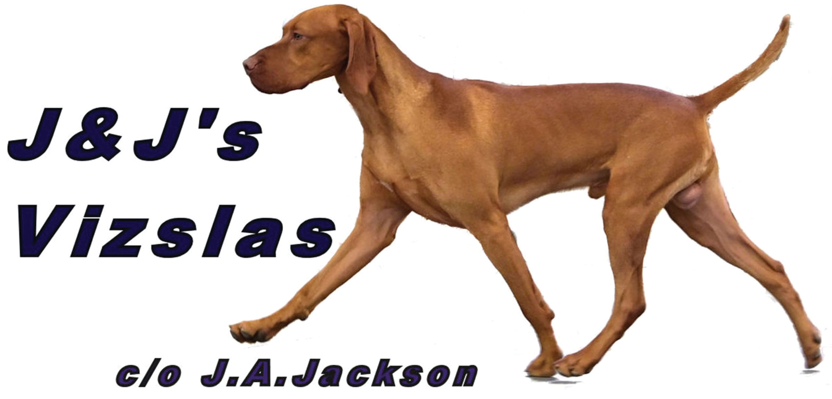 J&J Vizslas logo