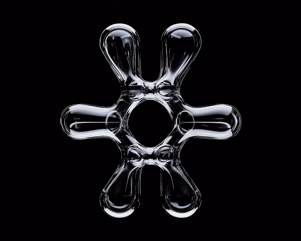 Service Item Image