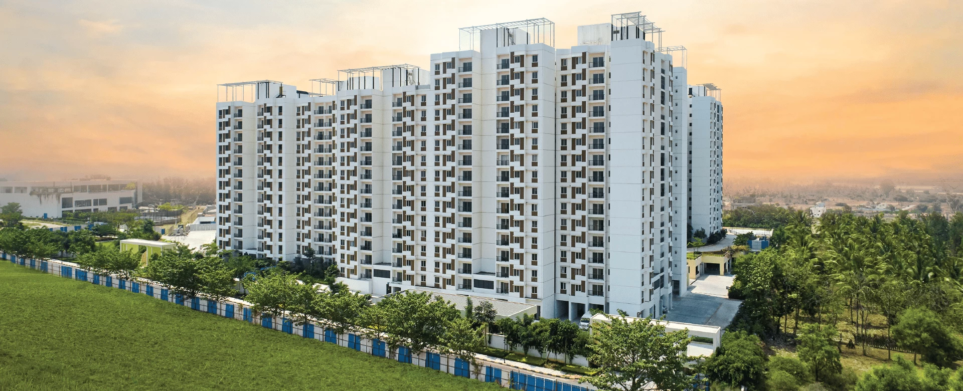tata carnatica launch date