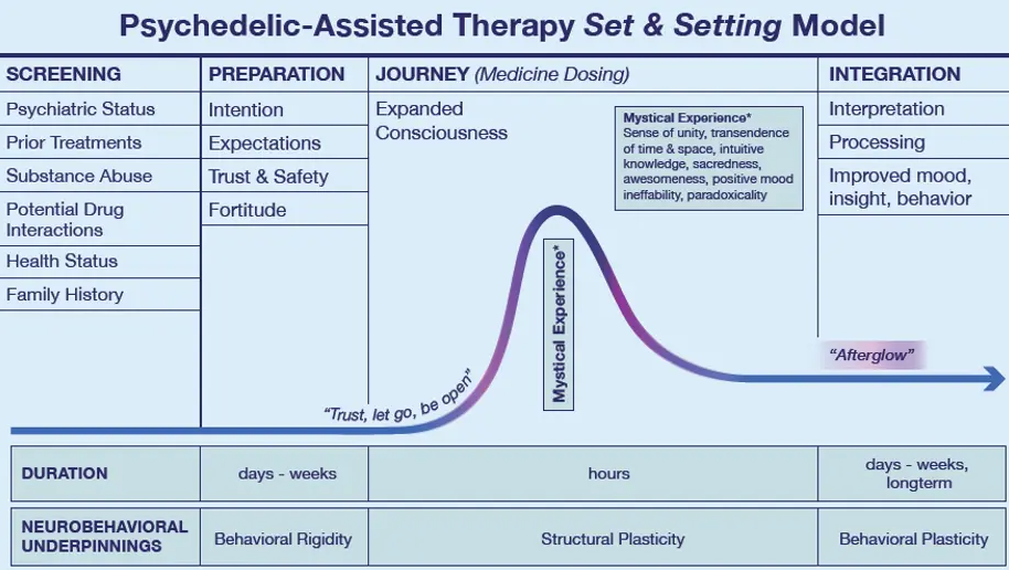 Psychedelic Assisted Therapy Set and Setting Model