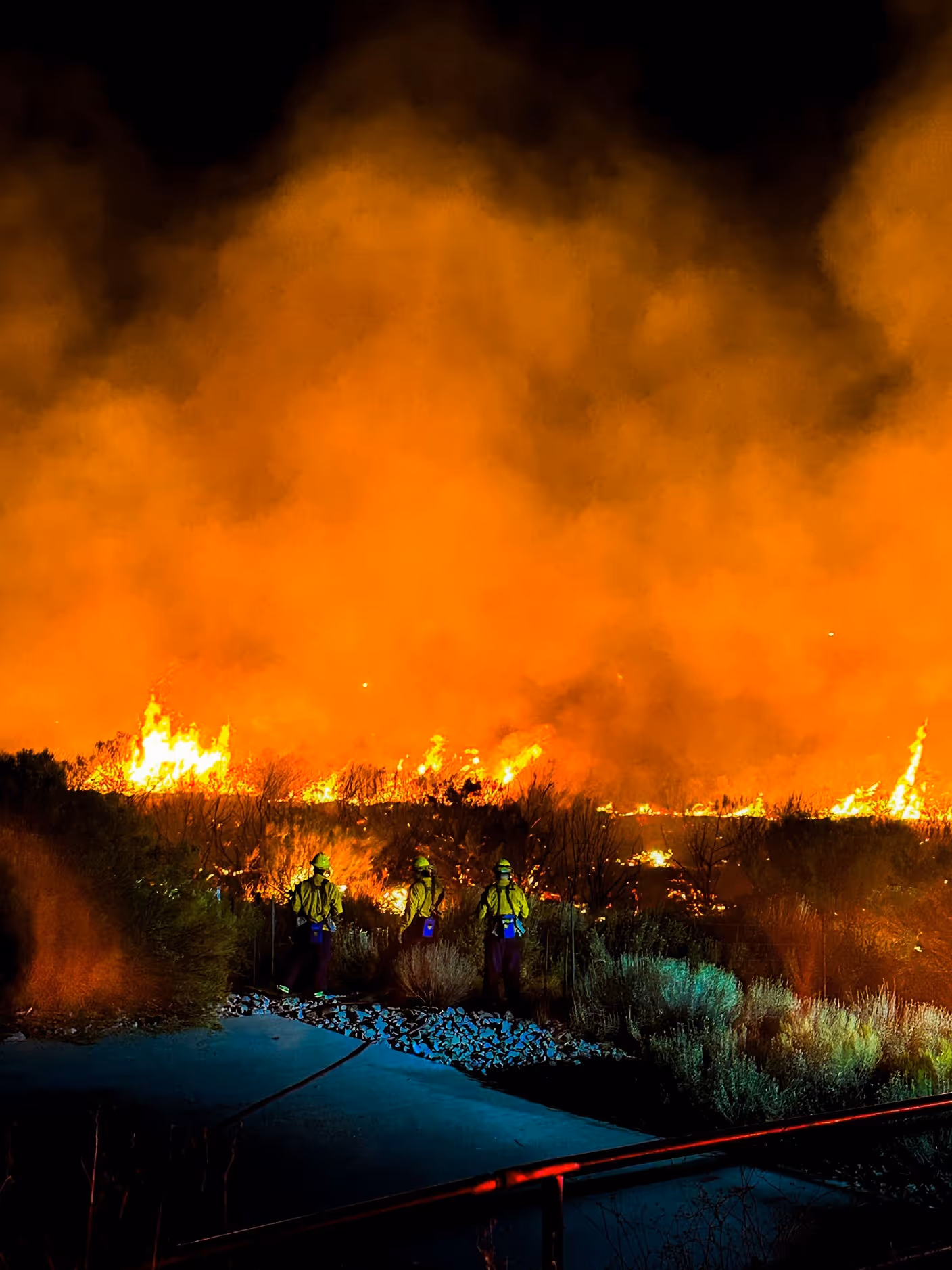 Firefighters on site of wild fire