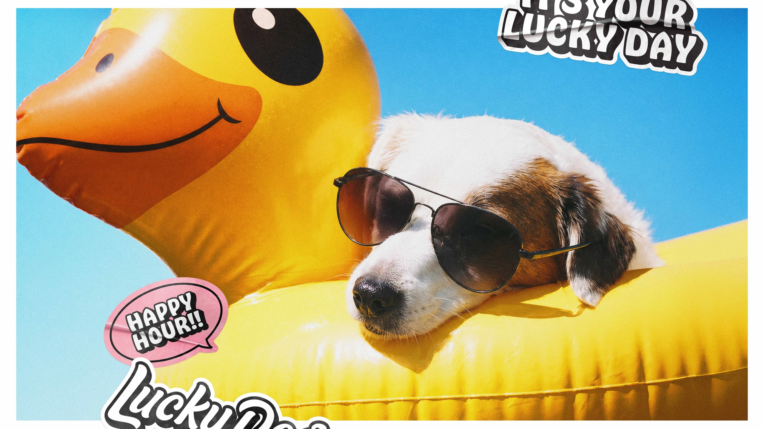 Lucky Dog Liquors brand activation