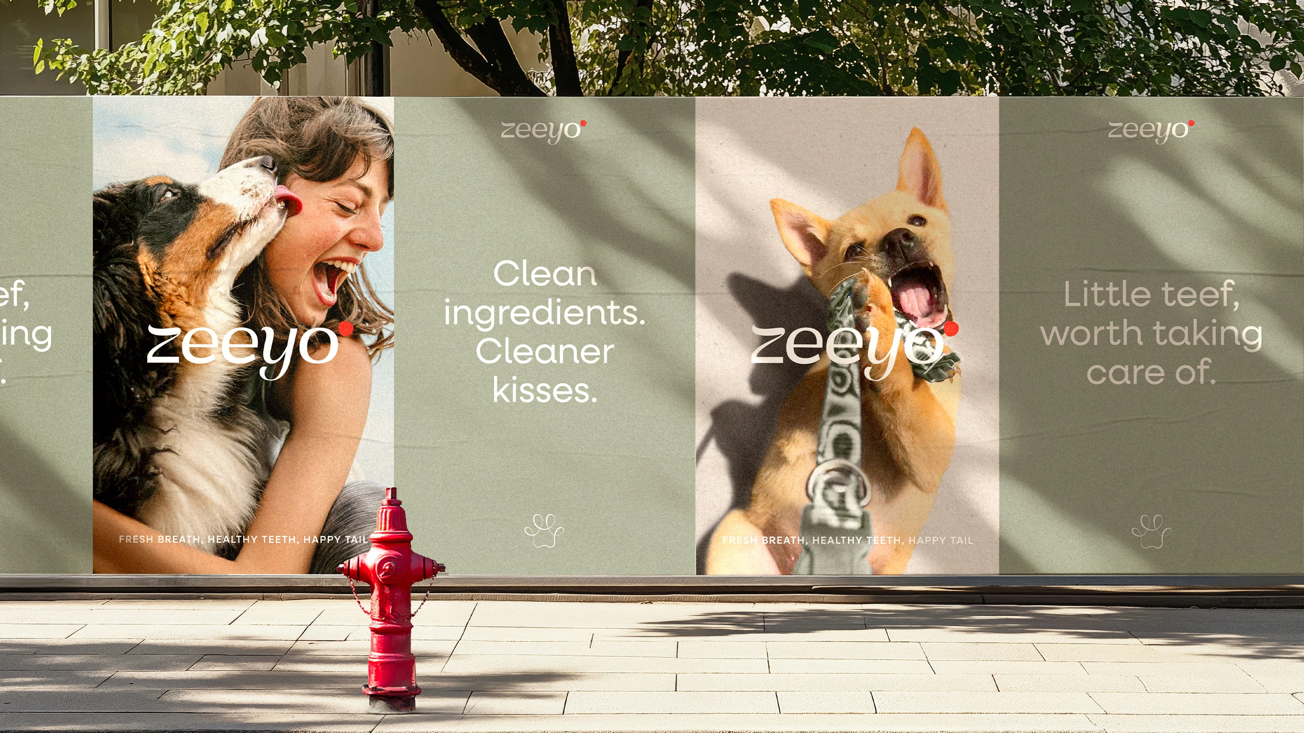 Zeeyo out-of-home campaign