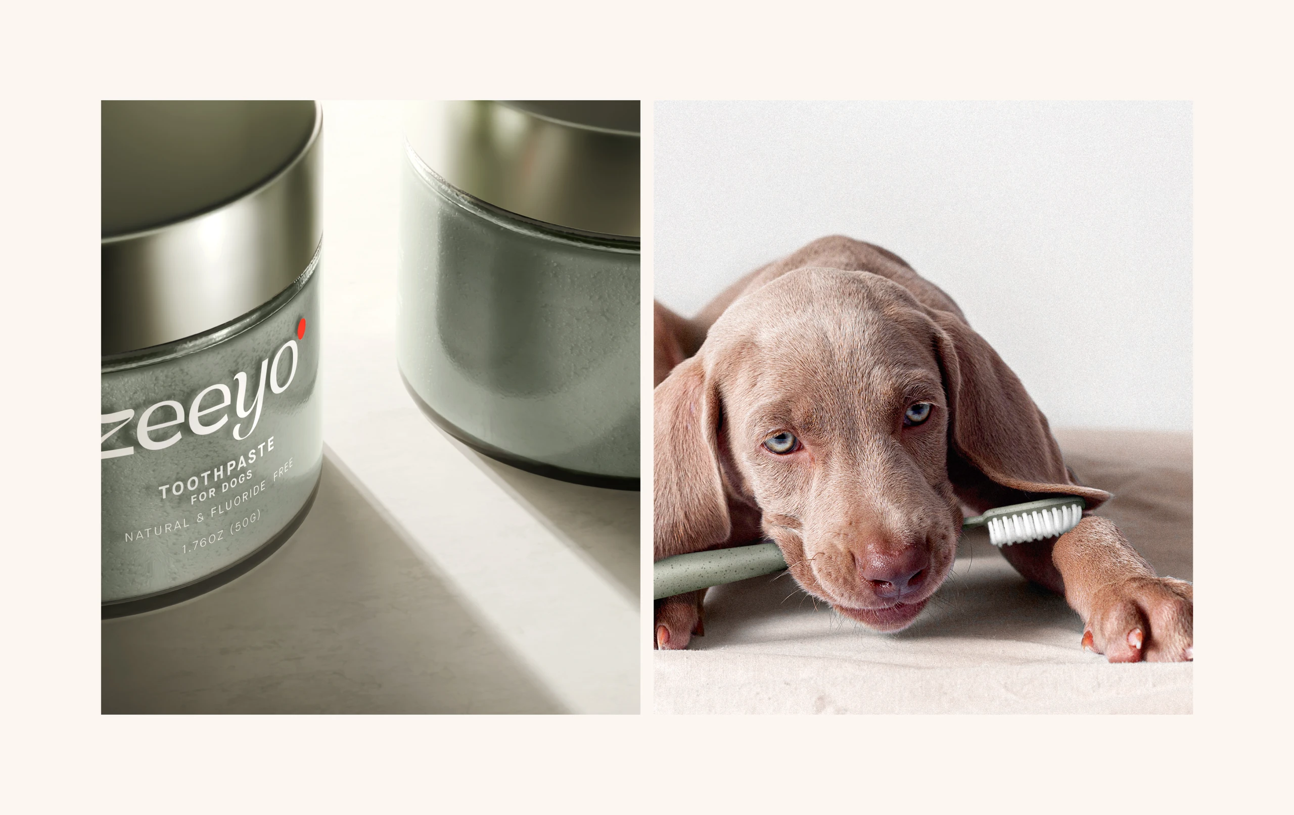 Zeeyo product beauty shot