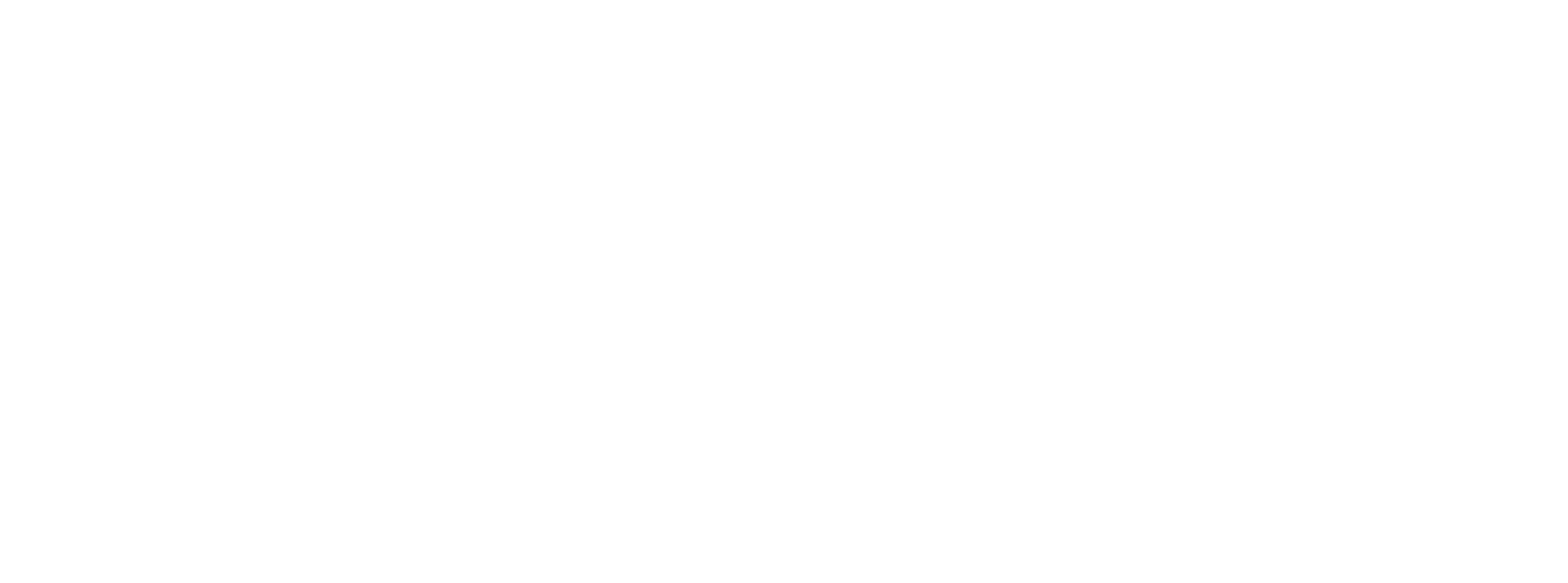 Logo de NovaMotors principal, variante blanca