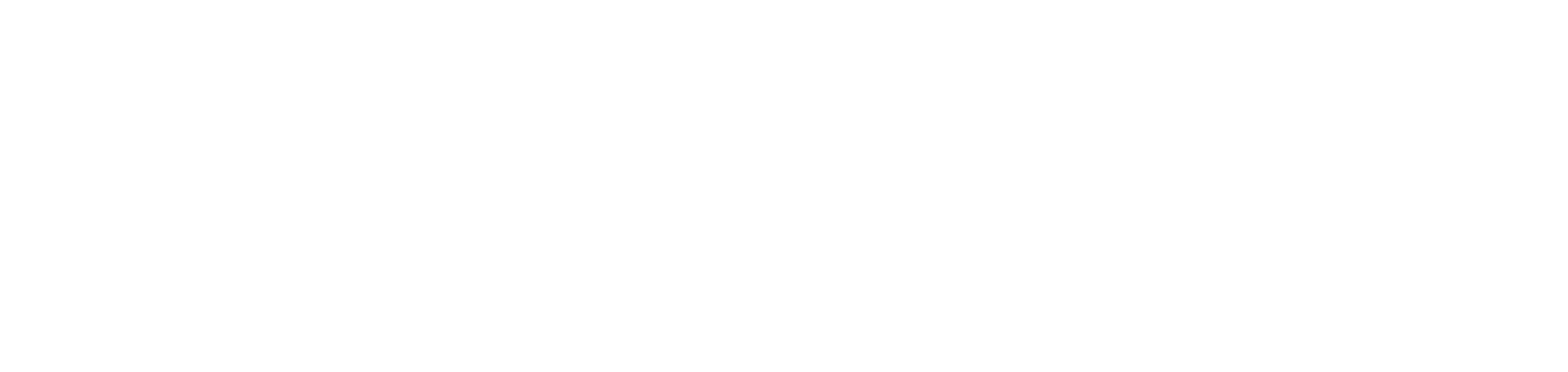 Logo de novamotors