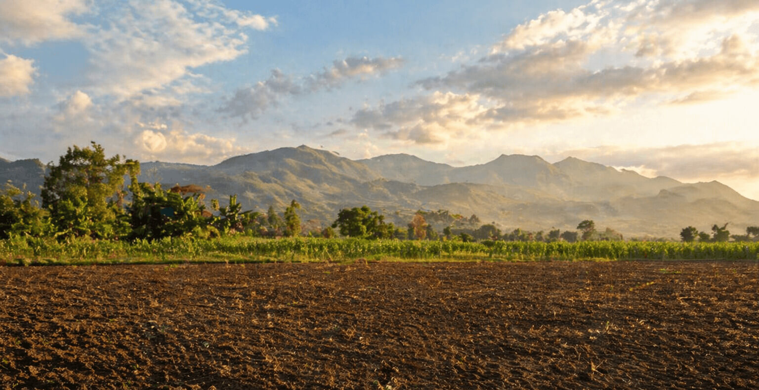 Campo ecuatoriano con montañas en el fondo.