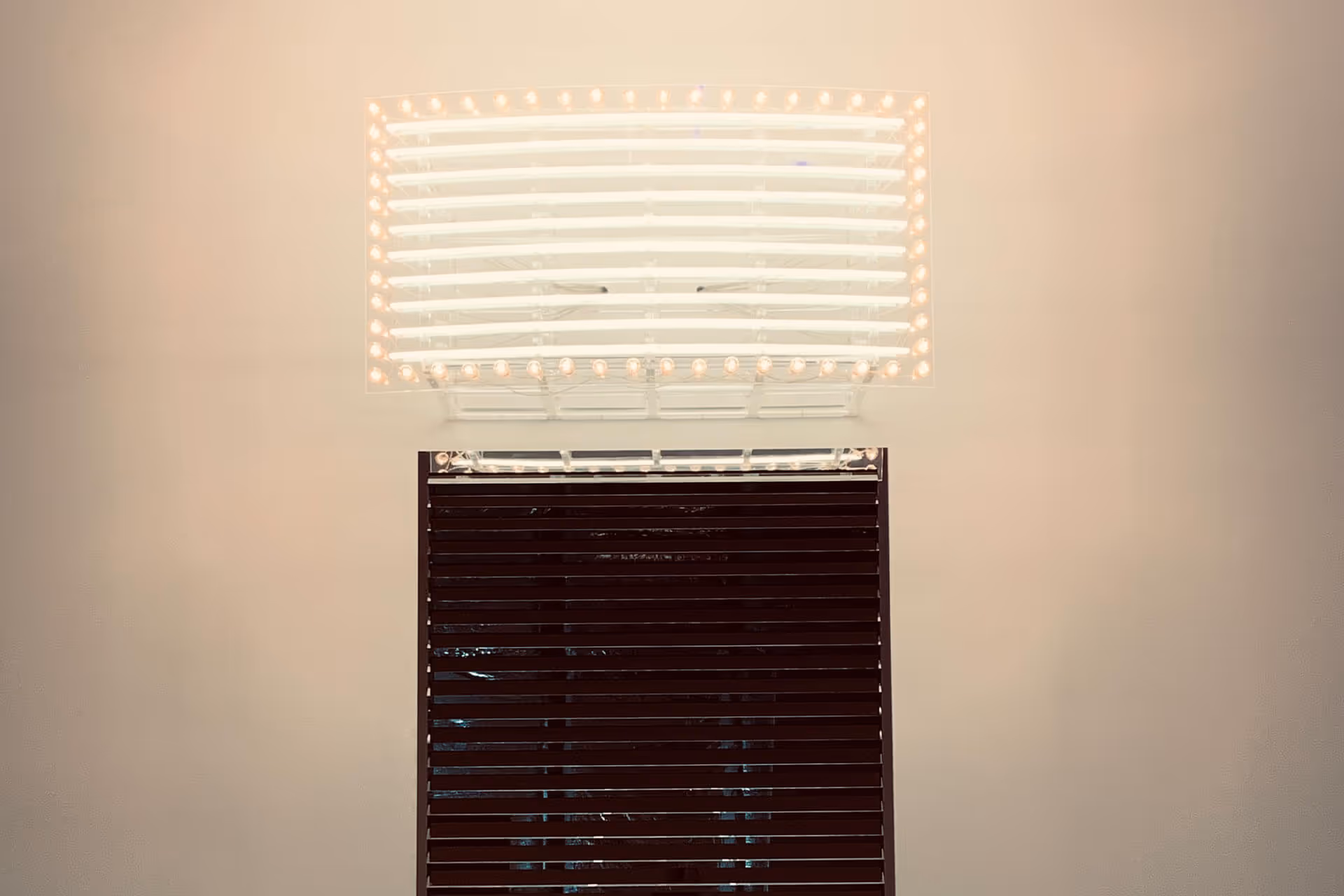Festoon bulbs and White Neon Marquee