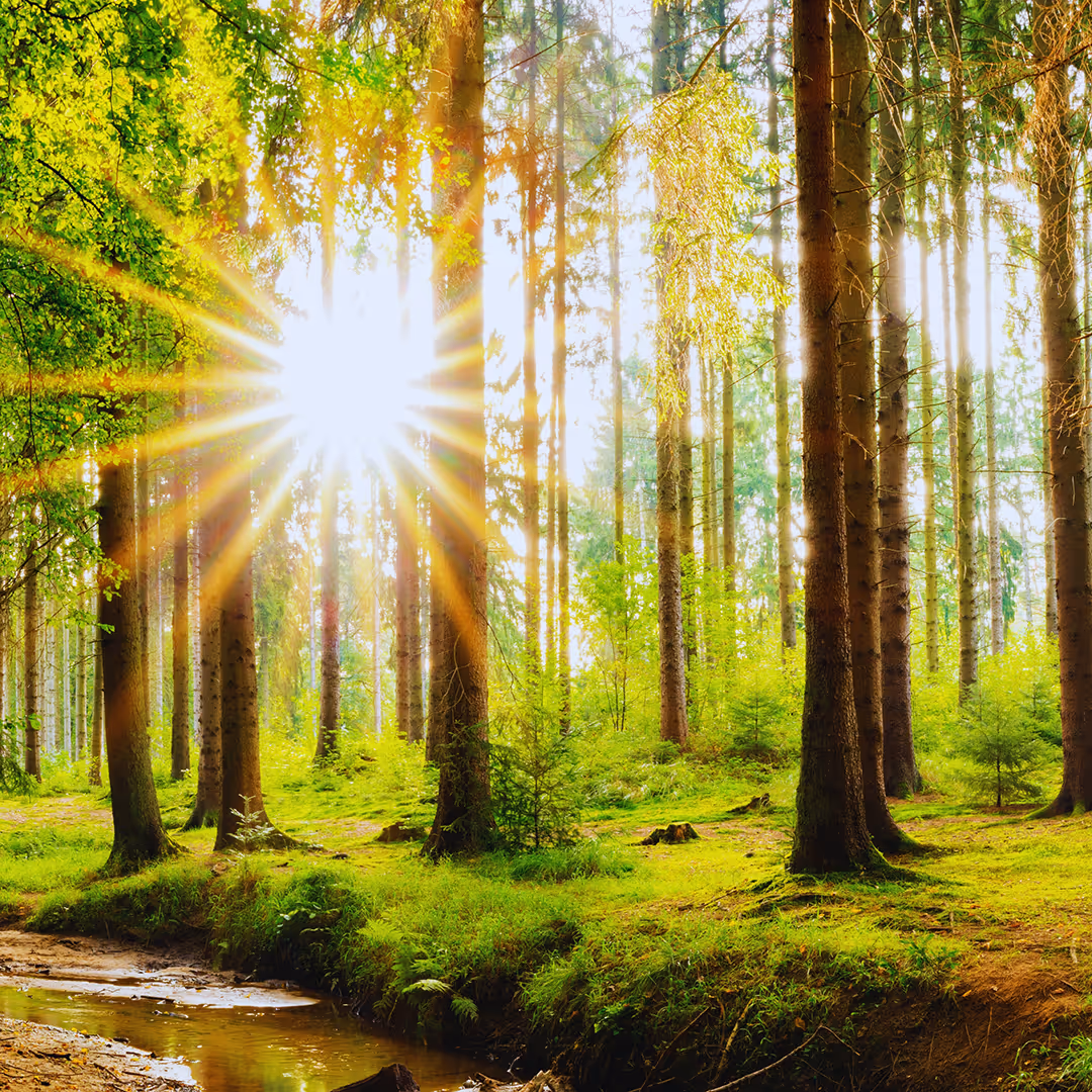 Depression therapy at Kairos Counseling & Family Therapy in Texas & New Mexico