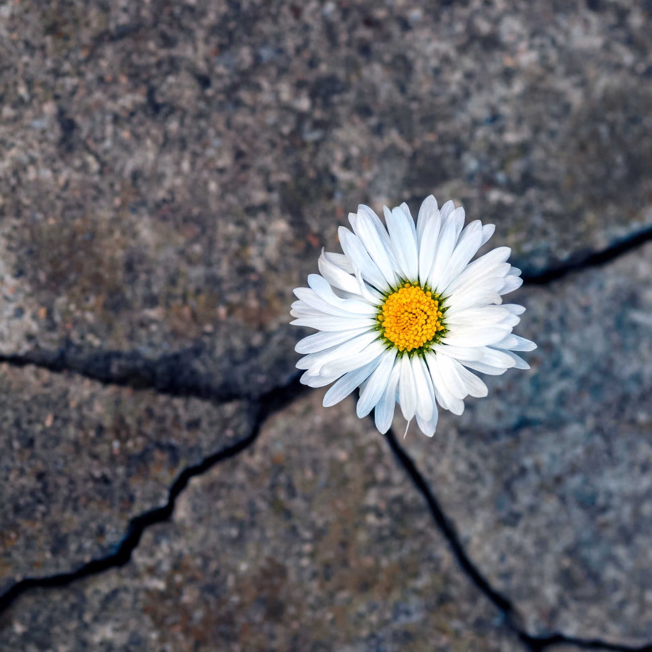 Anxiety therapy at Kairos Counseling & Family Therapy in Texas & New Mexico