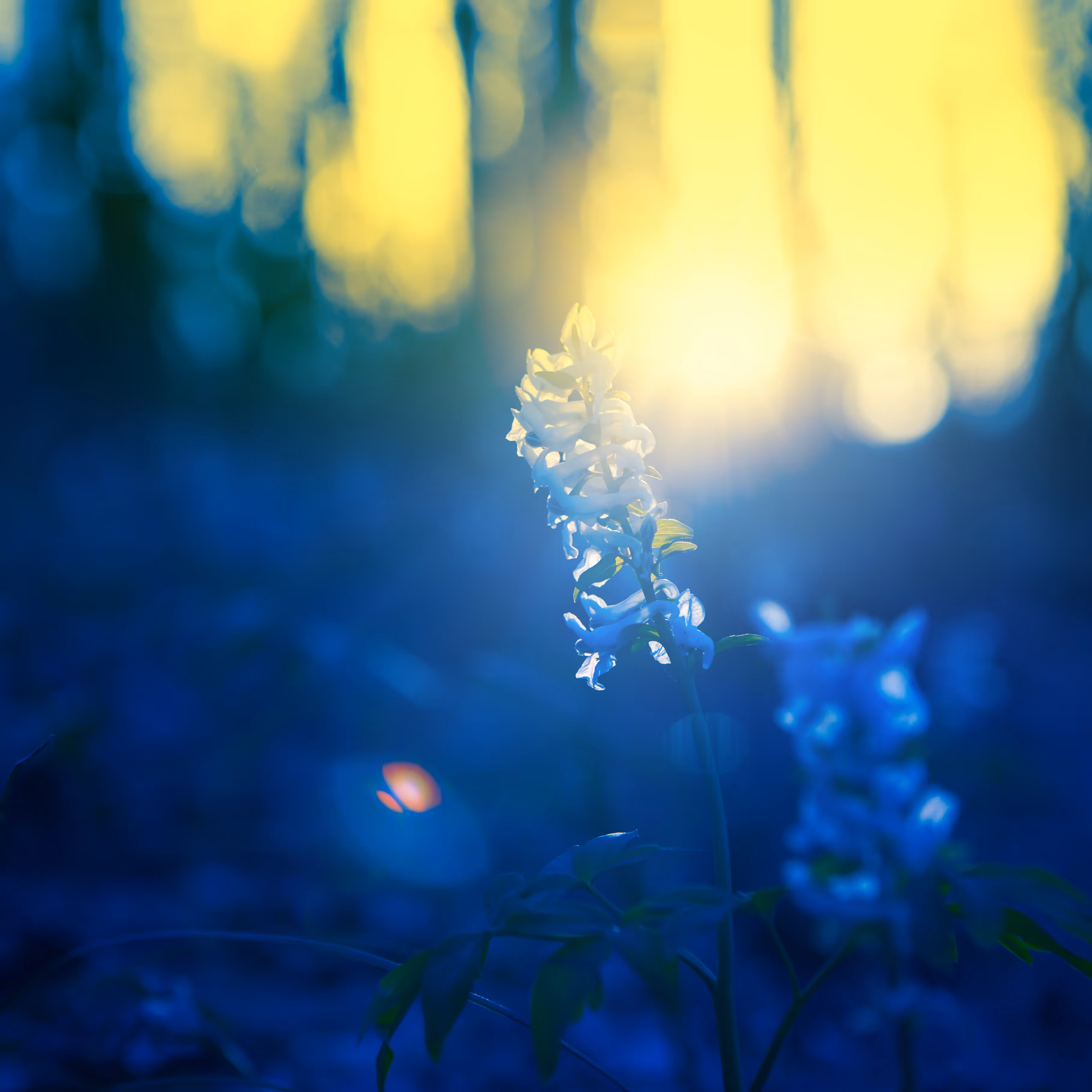 Depression therapy at Kairos Counseling & Family Therapy in Texas & New Mexico