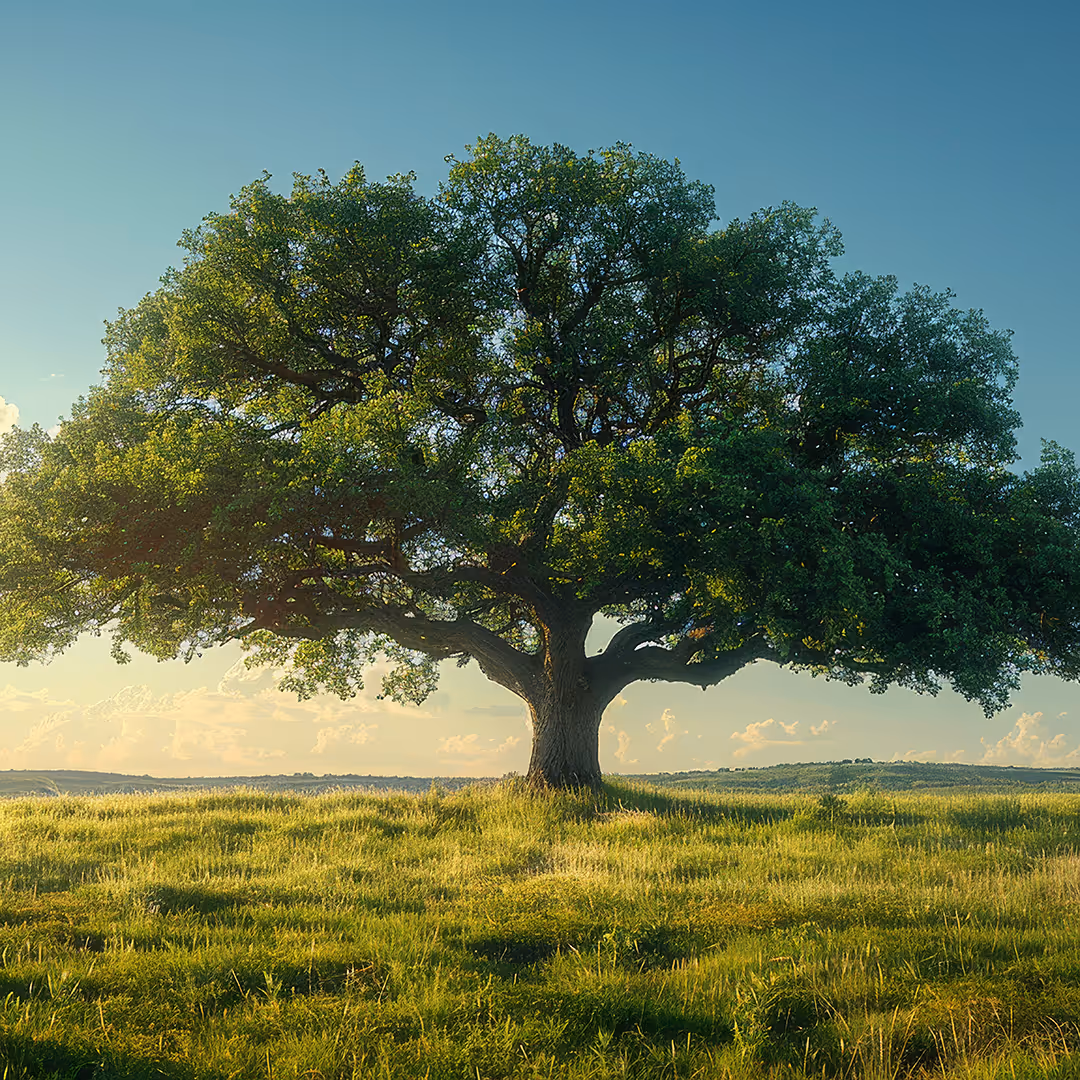 The Master and His Emissary: An Invitation to Healing and Wholeness at Kairos