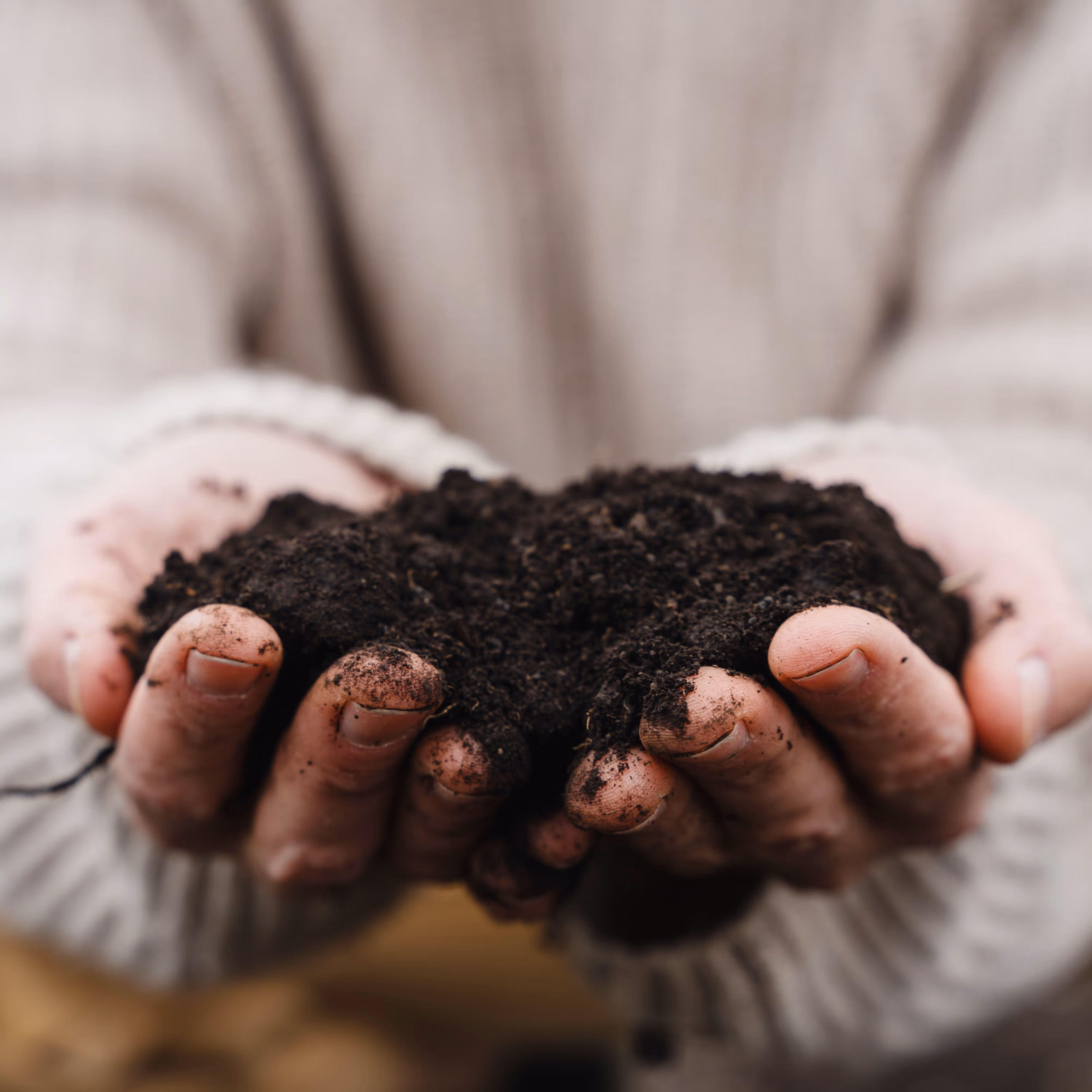 Preparing the Soil: How SSP & IASIS MCN Ready the Nervous System for Healing