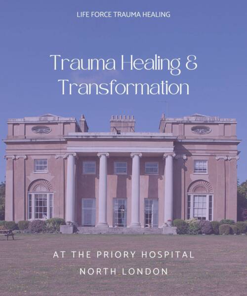 A photo of the Priory Hospital North London