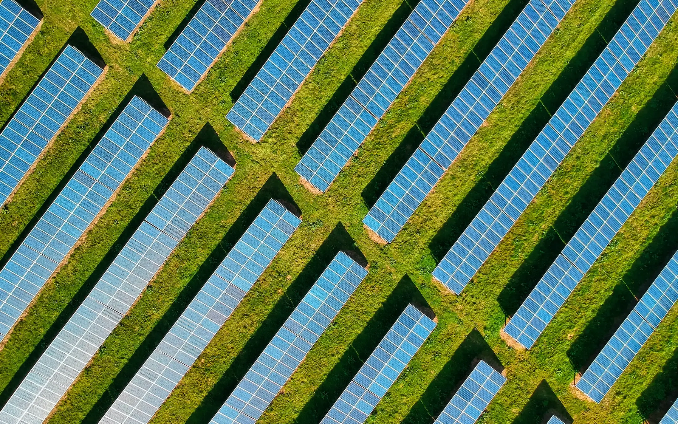 Technological innovations driving the evolution of sustainable supply chains