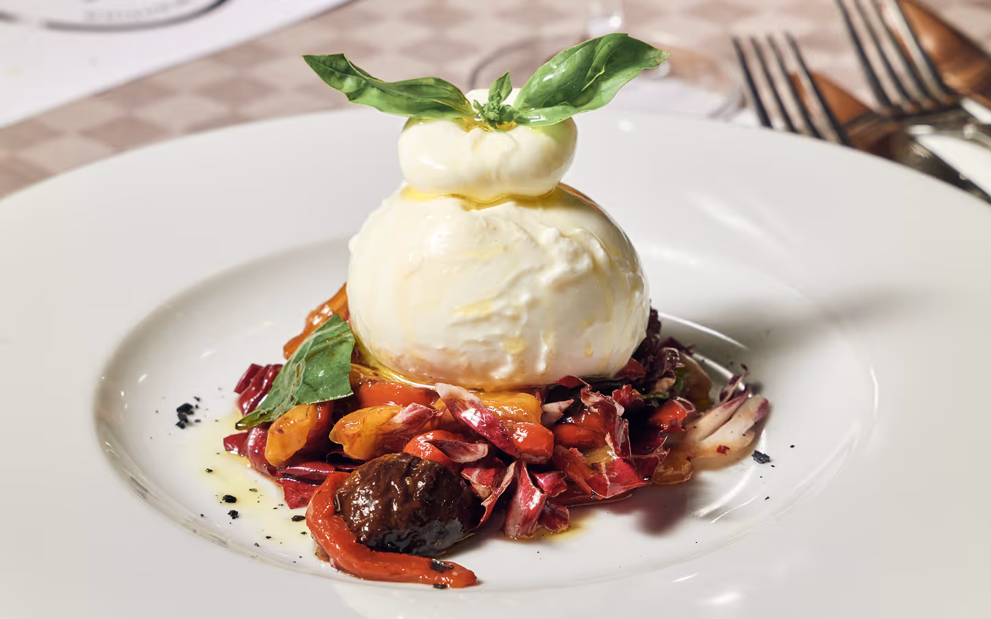 Kulatý sýr burrata na mixu pečené zeleniny a červeného salátu, ozdobený bazalkou na bílem talíři.