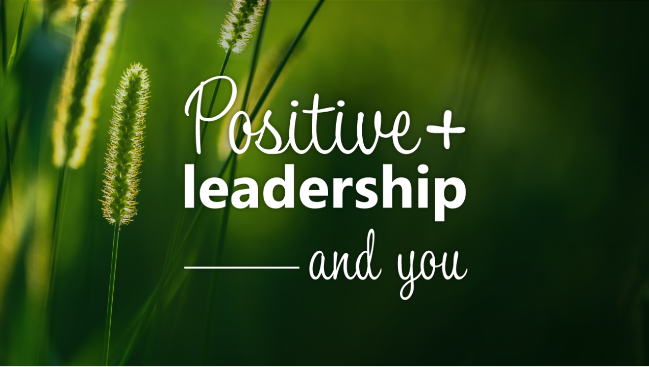 How Positive Leadership can help us focus