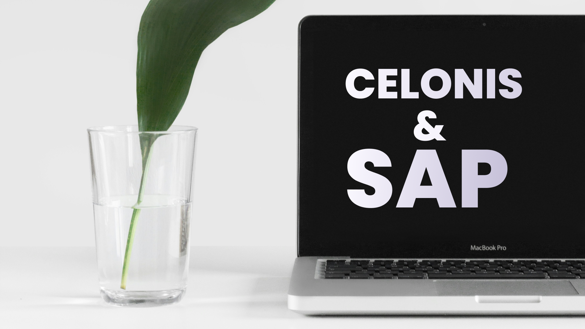 Celonis & SAP: Old Wine in New Bottles?