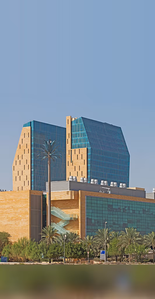 Fueling Precision Medicine and Data-Driven Healthcare in the UAE