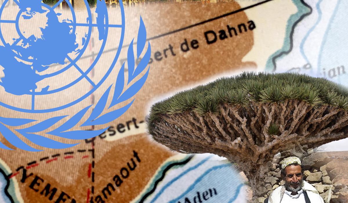 UN map with dragon blood tree from Socotra Island, Yemen