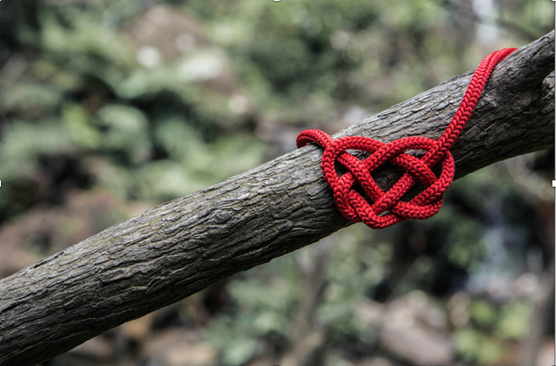 Show how much you care for yourself and others