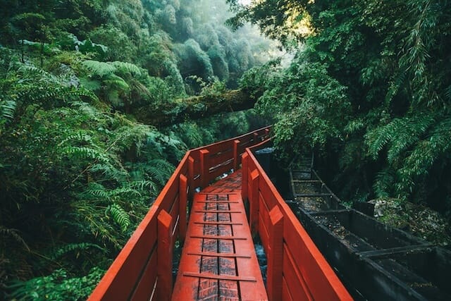Redefining our sense of purpose