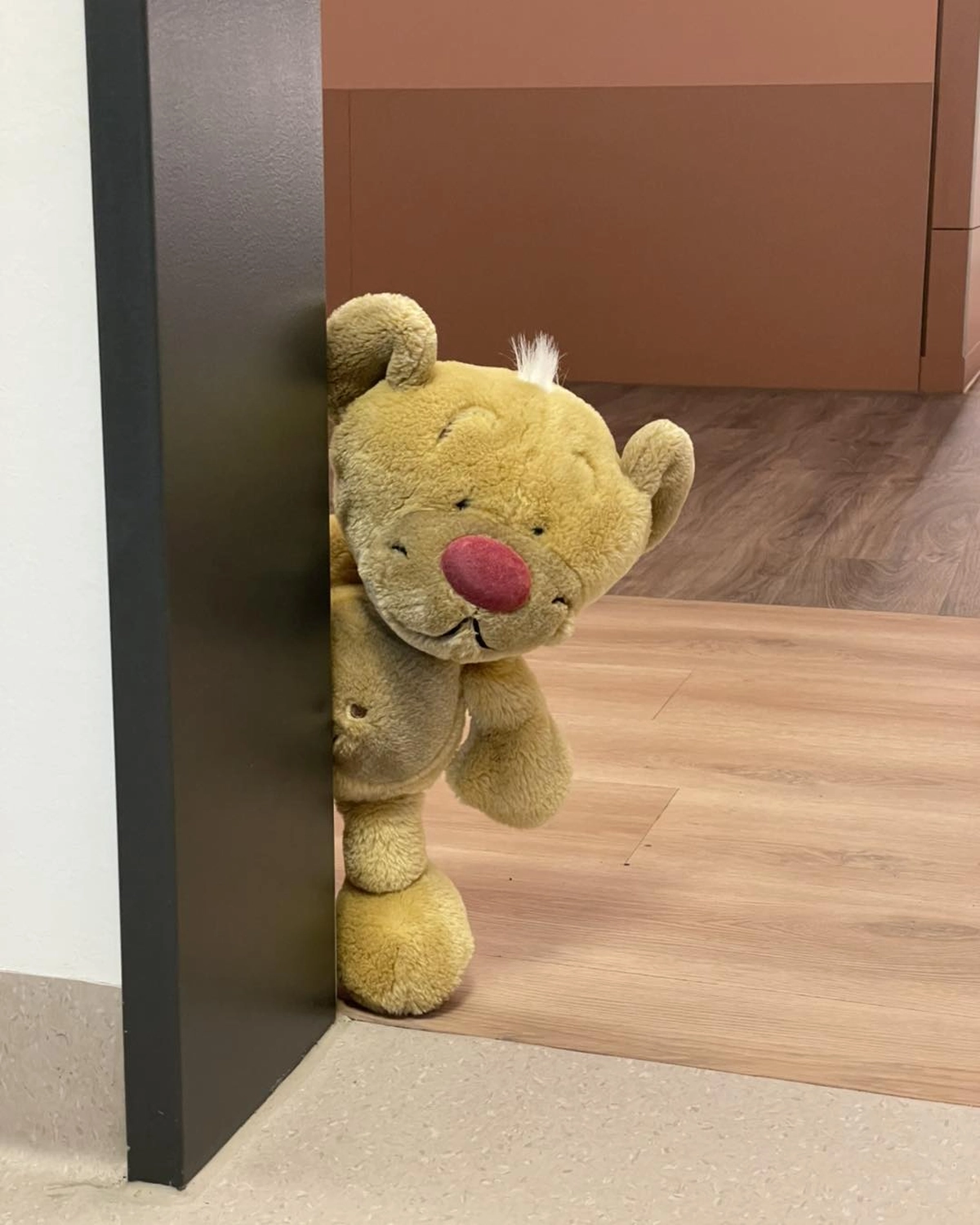 STENUM – Fachklinik für Orthopädie – Teddybär-Sprechstunde – Teddybär steht in der Tür