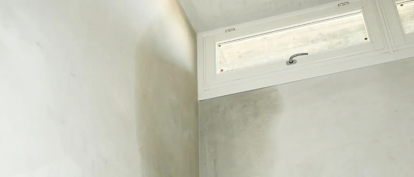 an image of a damp wall